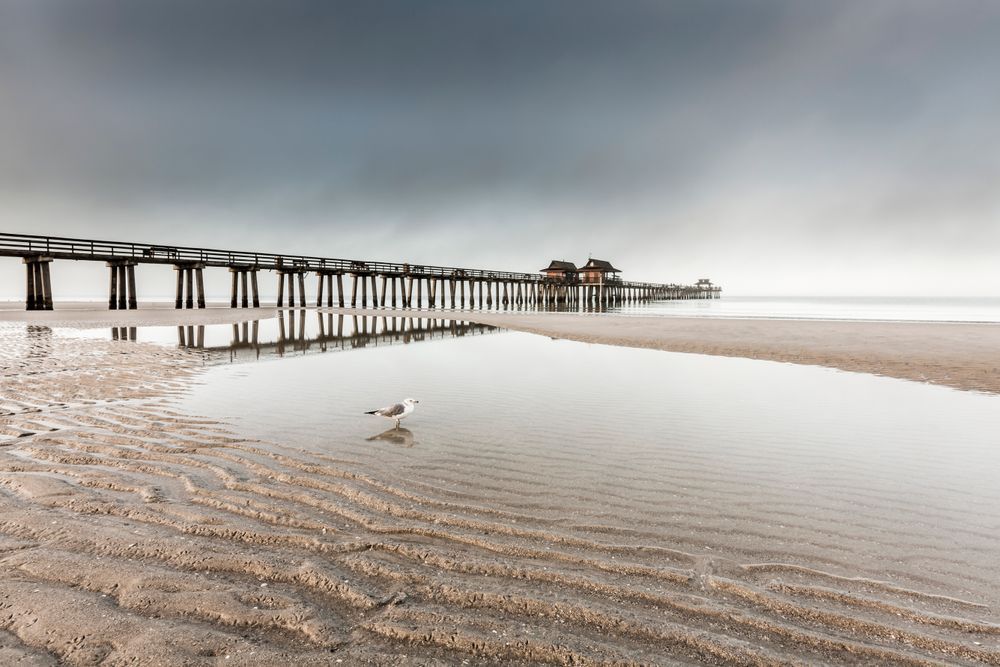 Naples Pier, Florida | FL | Photos | Dennis Goodman Photography