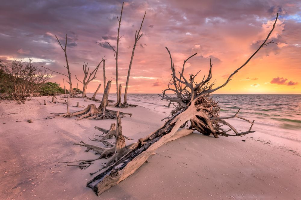 LOVERS KEY STATE PARK 3