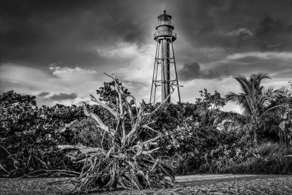 Sanibel Island Photos | Dennis Goodman Photography