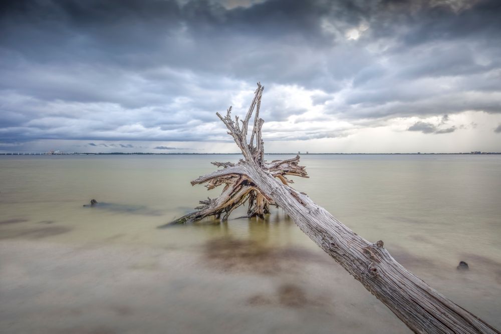 Sanibel Island Photos | Dennis Goodman Photography