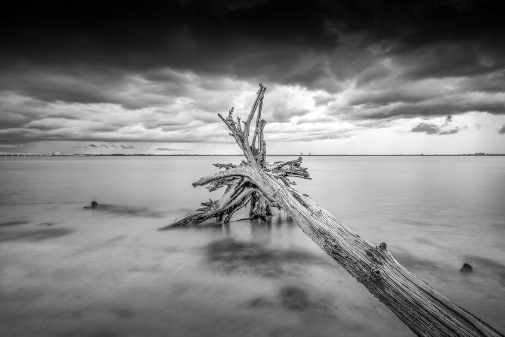 Sanibel Island Photos | Dennis Goodman Photography