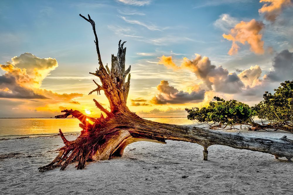 Sanibel Island Sunrise Photos | Dennis Goodman Photography
