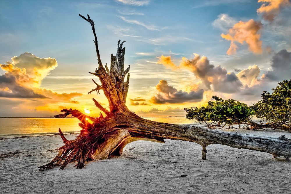 Sanibel Island Sunrise Photos | Dennis Goodman Photography