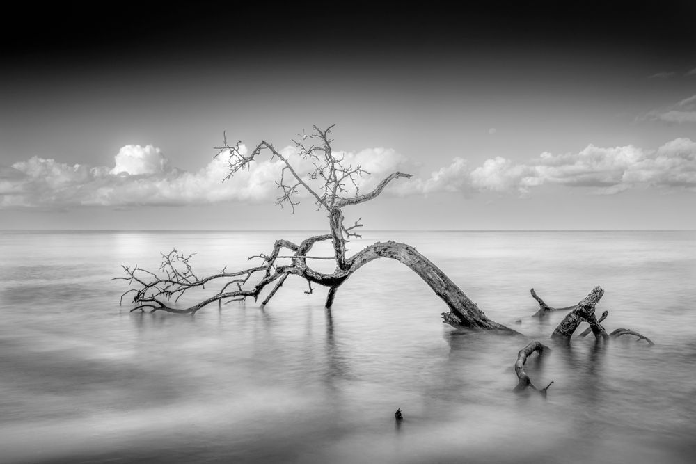 Delnor Wiggins Pass State Park Beach | Naples Photography 