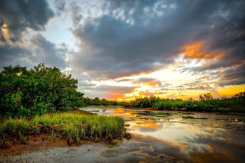 Tigertail Beach | Florida | FL | Marco Island | Photos