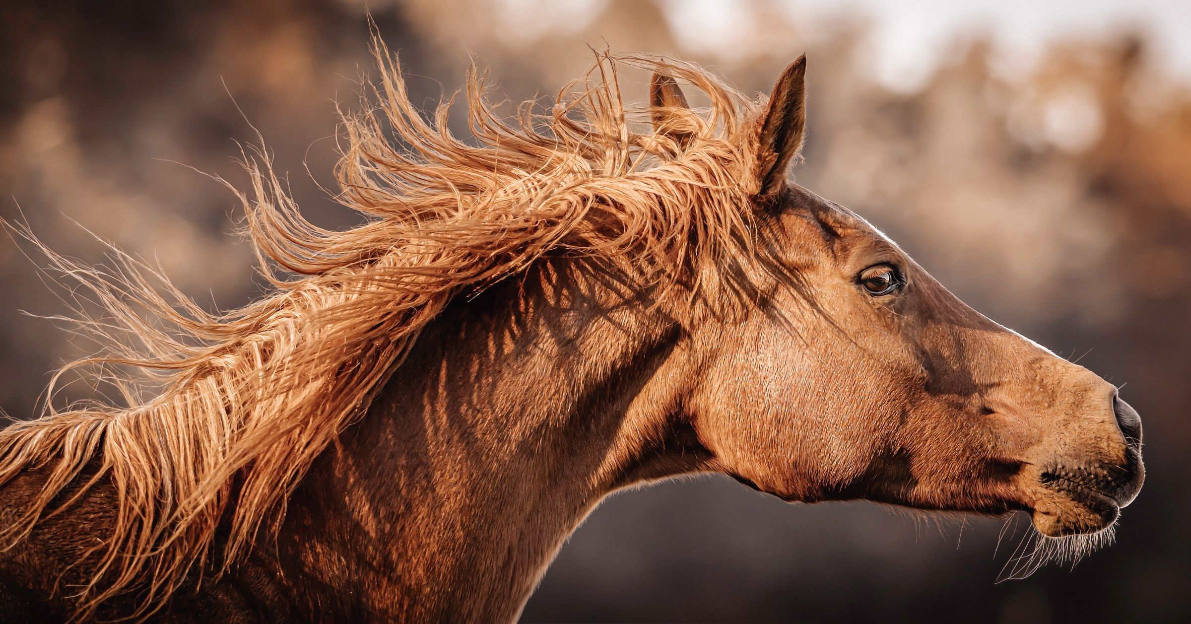 
        <div class='title'>
           N8A7751 Edit Edit
        </div>
       