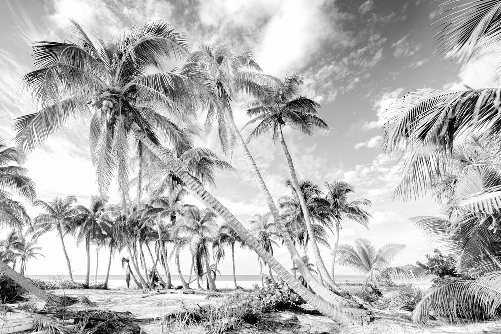 Fort Myers Beach Photos | Florida | FL | Images