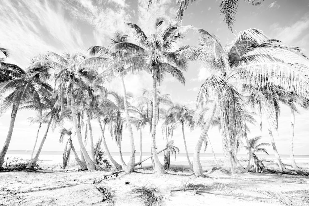 Fort Myers Beach Photos | Florida | FL | Images