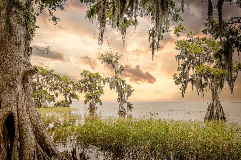 Lake Istokpoga 6 Photography Art | Dennis Goodman Photography, Inc.