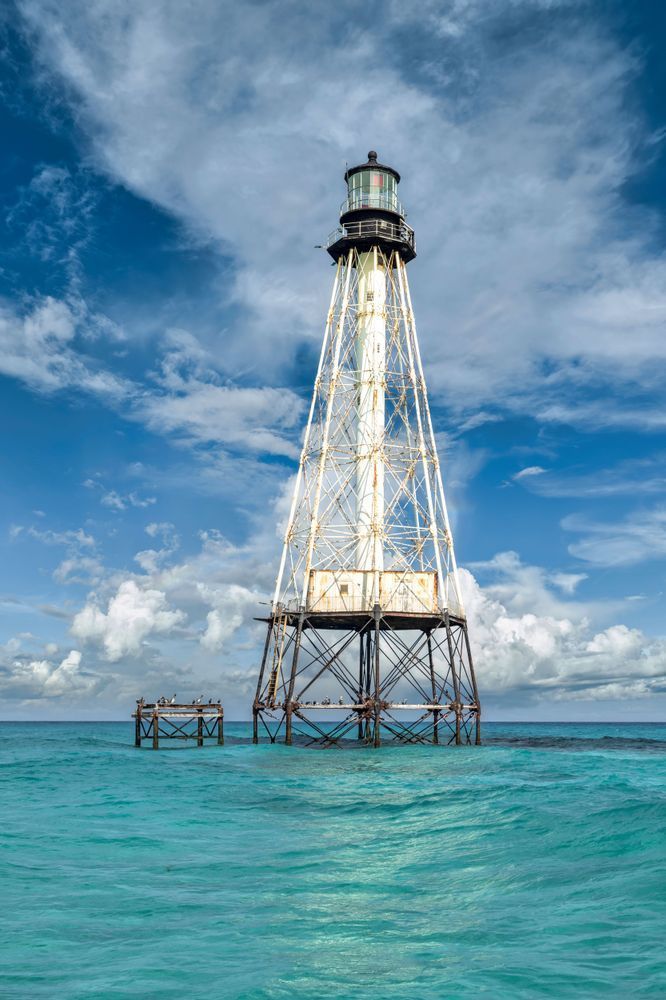 Alligator Reef | Islamorada | Florida | Keys | FL | Photos 