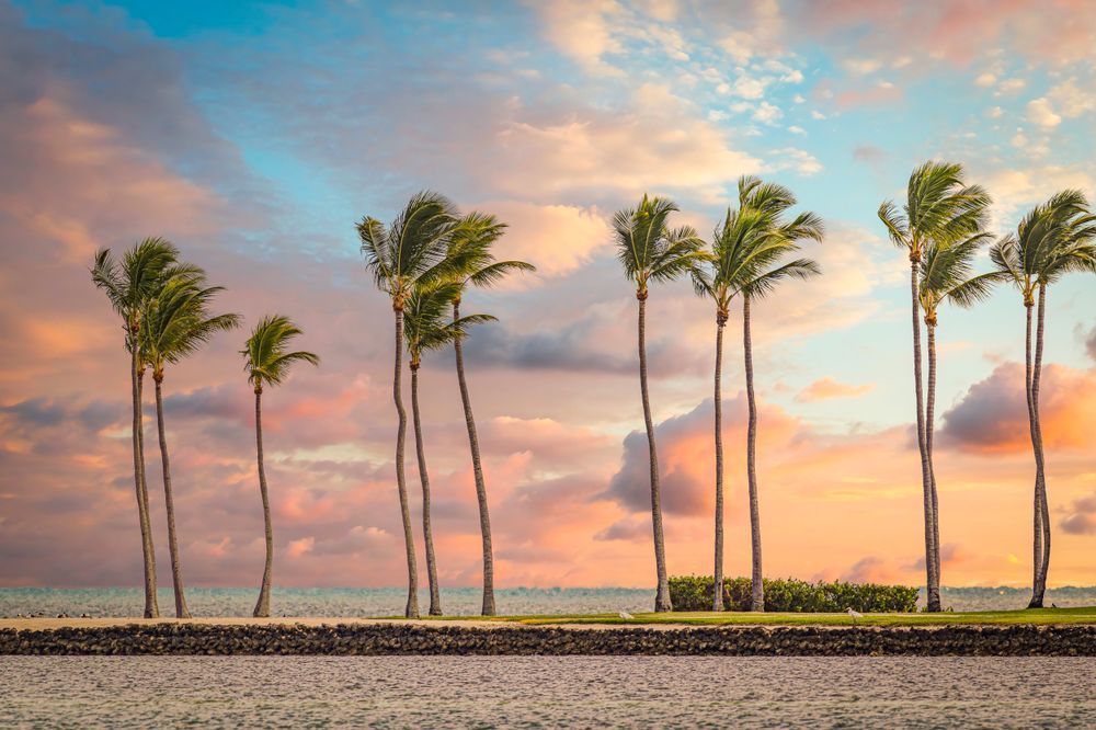 Photographs | Art | Images | Photos | Wall Art | Wallpapers