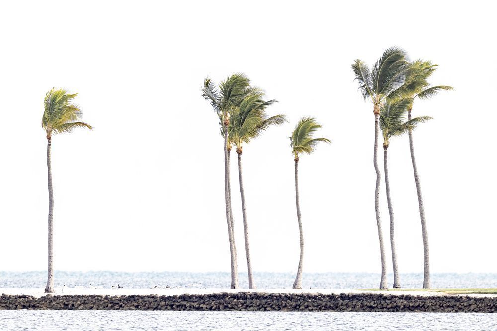 Florida Keys Pictures | Photos | Images | FL