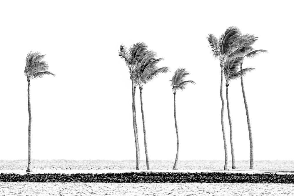 Florida Keys Pictures | Photos | Images | FL