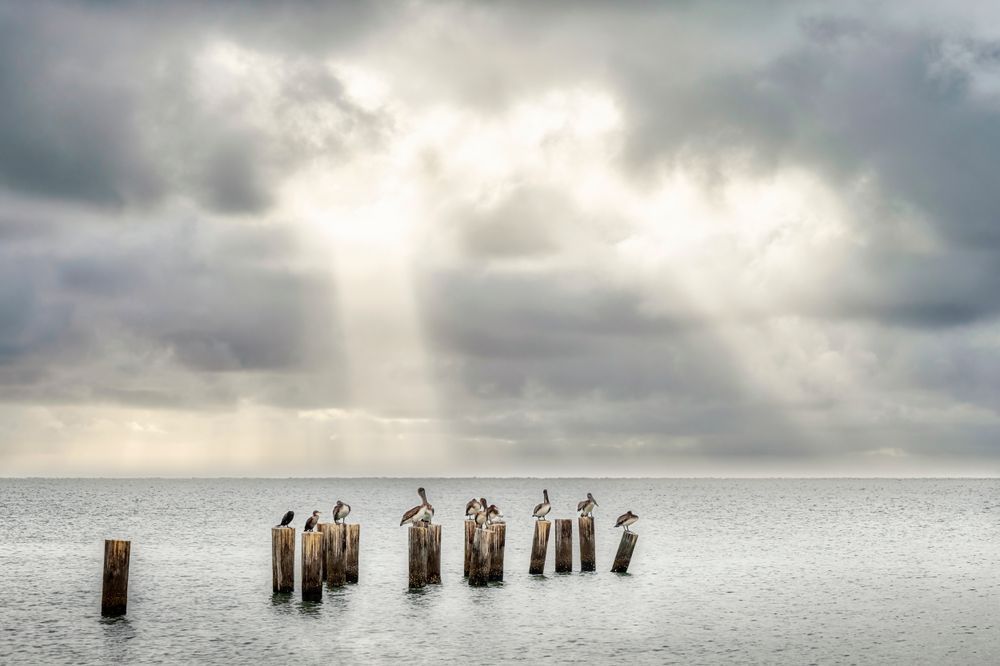 3rd Ave South 28 Photography Art | Dennis Goodman Photography, Inc.