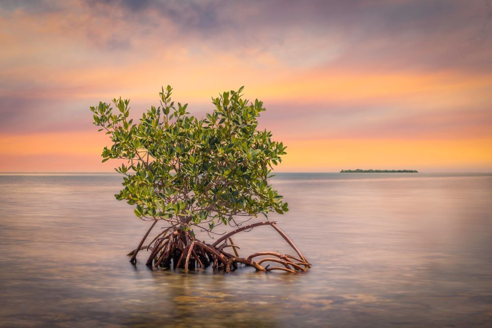 Florida Keys Pictures | Photos | Images | FL