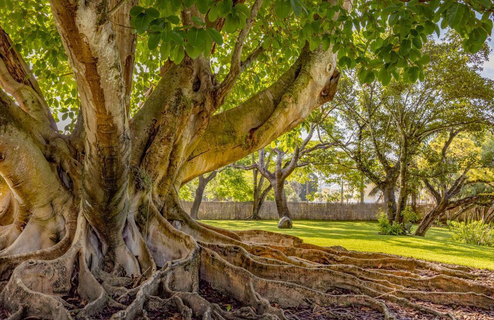 Photographs | Art | Images | Photos | Wall Art | Wallpapers