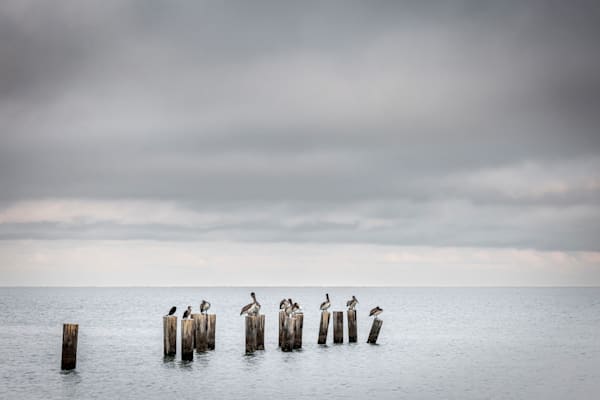 Florida | Pics | Wall Art | Images | Photos |Wallpapers| Pictures