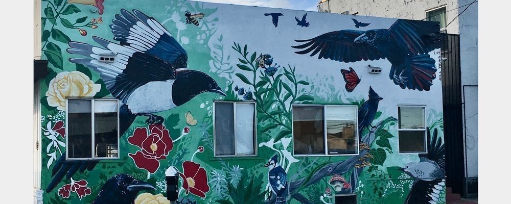 
        <div class='title'>
          Red Crow tattoo mural San Diego 
        </div>
       
        <div class='description'>
          
        </div>
      