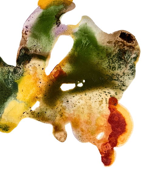 art prints 8x10in - abstract ink 2605
