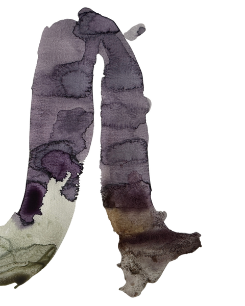 art prints 8x10in - abstract ink 2609 crop