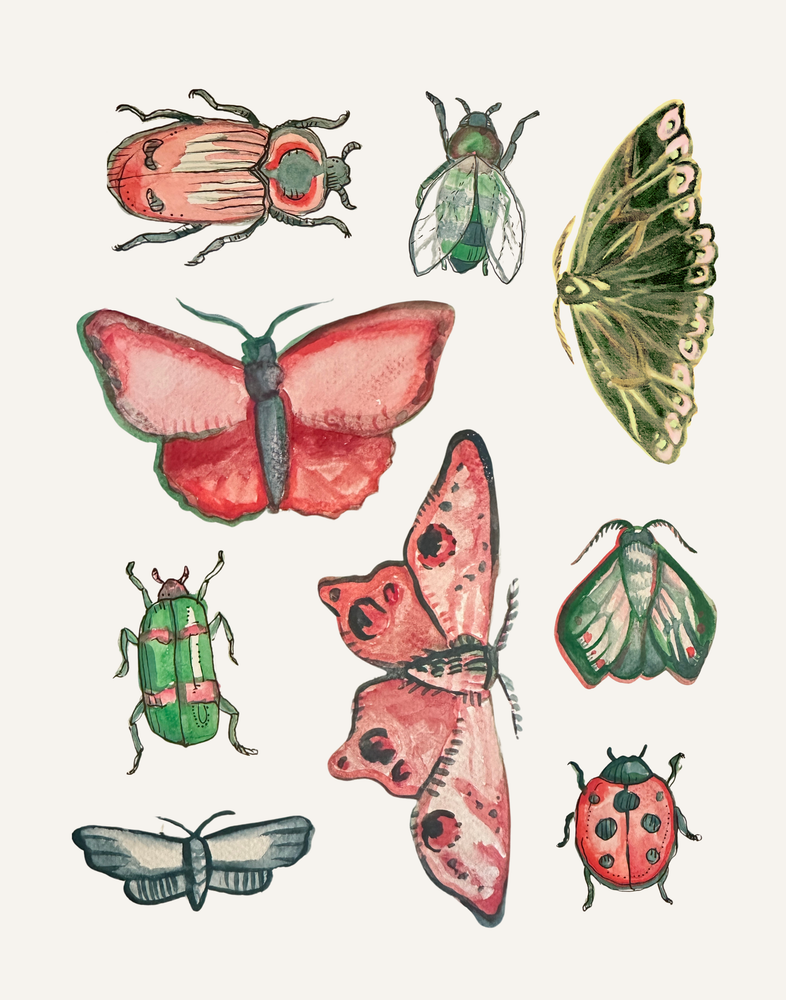 bugs and butterflies custom art print on cream background