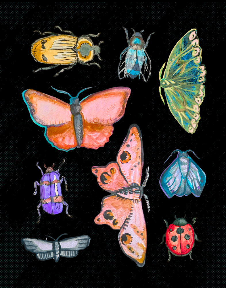 Rainbow Bugs On Black Art | Hill Yeah! Eco Art Studio