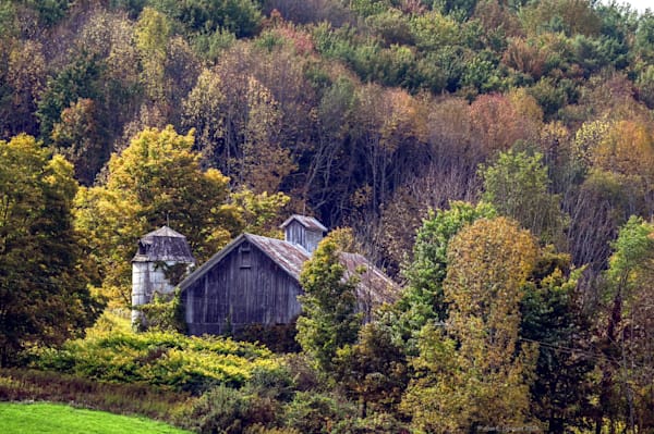 Antique Barn and Silo watching Over Summer Field Rural Upstate NY