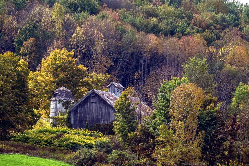 Antique Barn And Silo Watching Over Summer Field Rural Upstate Ny Photography Art | Alan Lincourt Photography Dot Com