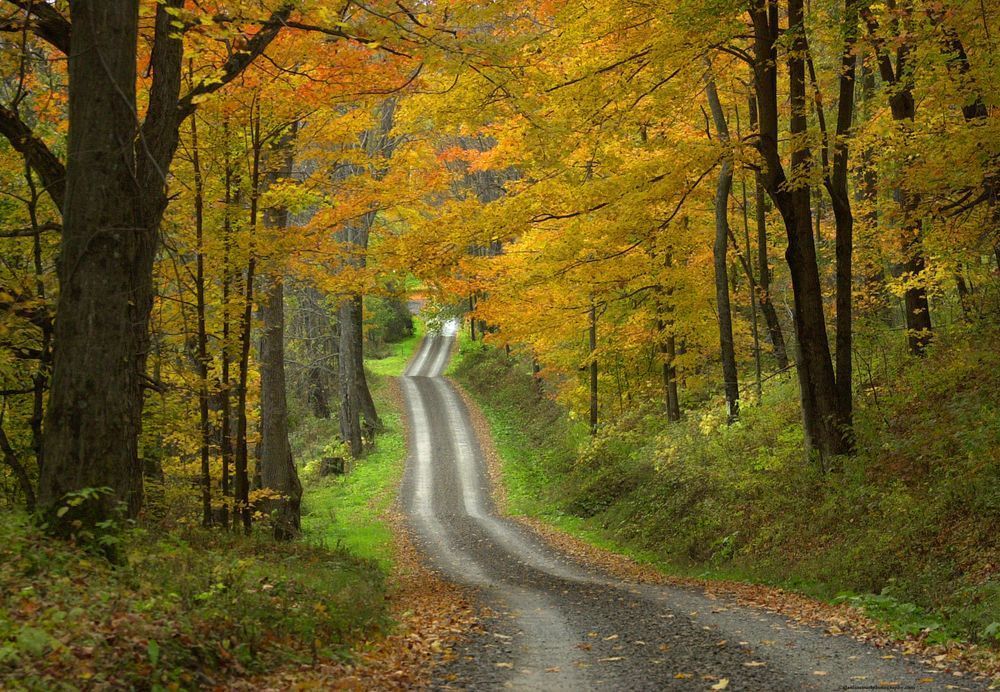 Autumn Smokey Run Country Road Photography Art | Alan Lincourt Photography Dot Com