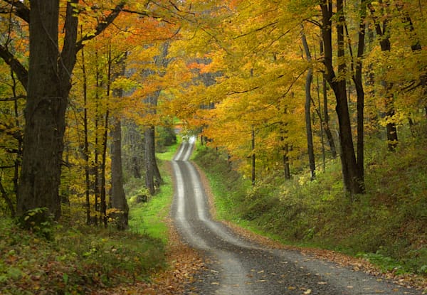 Autumn Smokey Run Country Road