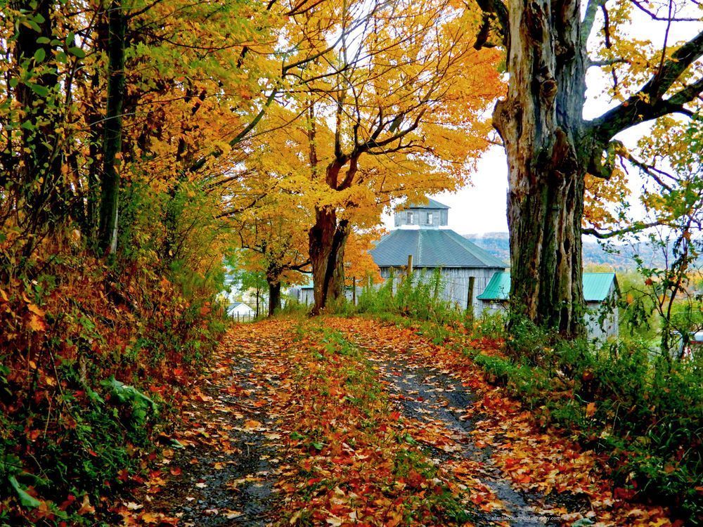 Antique Octogon Barn Richfield Spa. Rural Upstate Ny Autumn Photography Art | Alan Lincourt Photography Dot Com