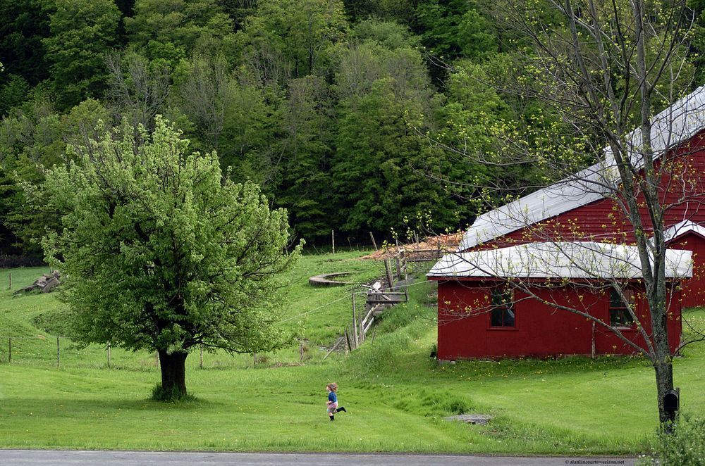 Going To Grandma And Grandpa S Photography Art | Alan Lincourt Photography Dot Com