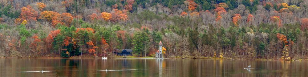 Kingfisher Tower With Loons And Seagul Otsego Lake Photography Art | Alan Lincourt Photography Dot Com