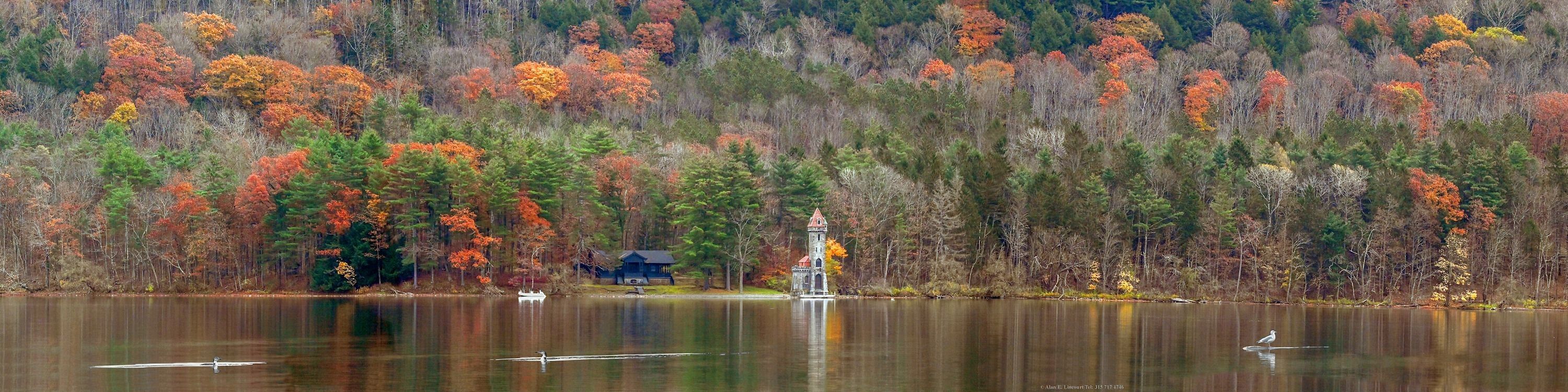 
        <div class='title'>
          Kingfisher Tower with Loons and Seagul Otsego Lake l9lkcc
        </div>
       