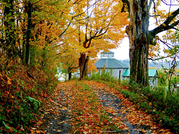 Octagon Barn Autumn Road