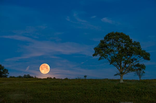 Moon Rise On Nine Mile Hill