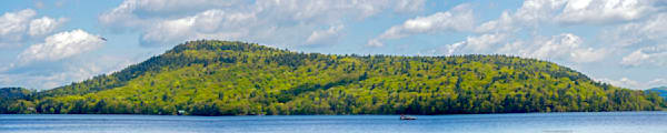 Sleeping Lion Otsego Lake Springtime Cooperstown NY 40x8