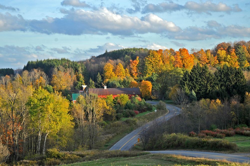 Quiet Autumn Road Rural Ny At Sunset Photography Art | Alan Lincourt Photography Dot Com