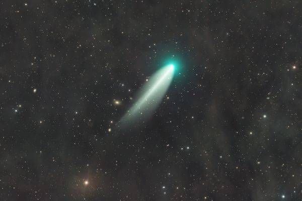 Comet 220P/McNaught in Cetus
