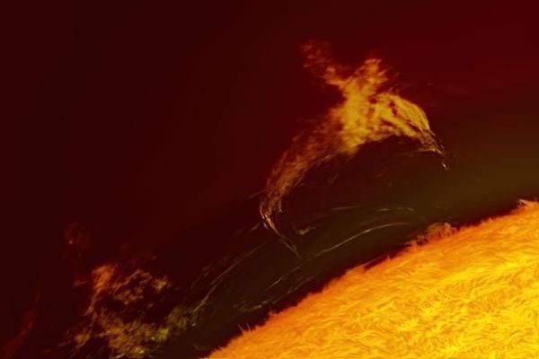 Hummingbird-shaped prominence on the Sun (2025-03-24)