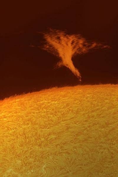 Desert Acacia Prominence on the Sun (2025-08-18)