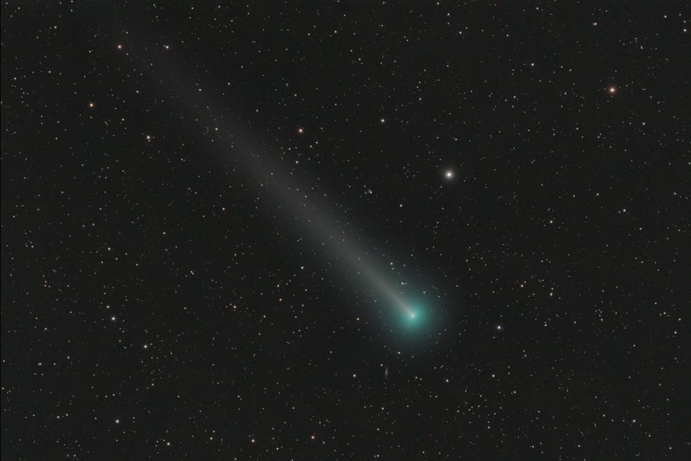 Comet C/2021 A1 Leonard Photography Art | MaximAstroPhoto