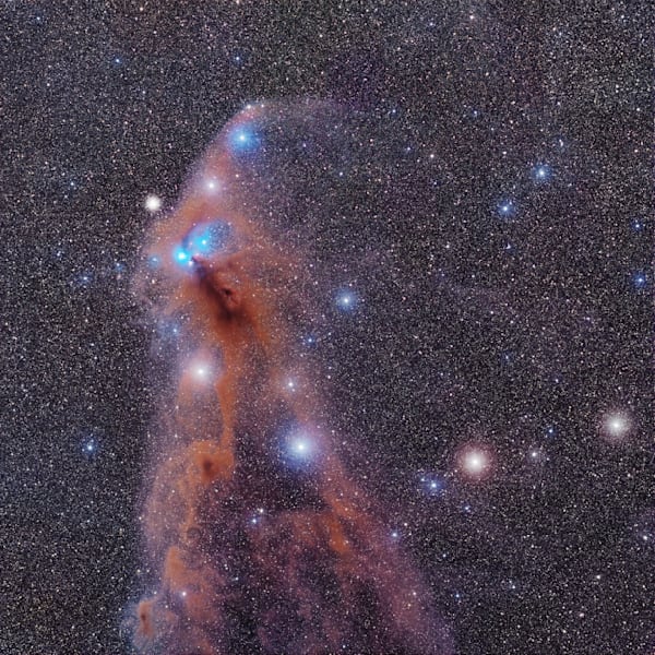Corona Australis   The Crown Of Southern Sky Photography Art | MaximAstroPhoto