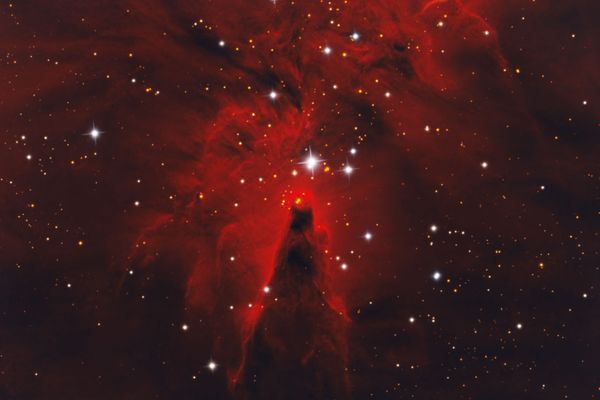 Cone Nebula