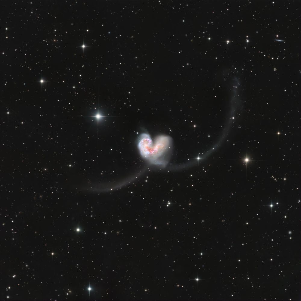 Antennae Galaxies (Ngc 4038 & Ngc 4039)   Galactic Valentine Photography Art | MaximAstroPhoto