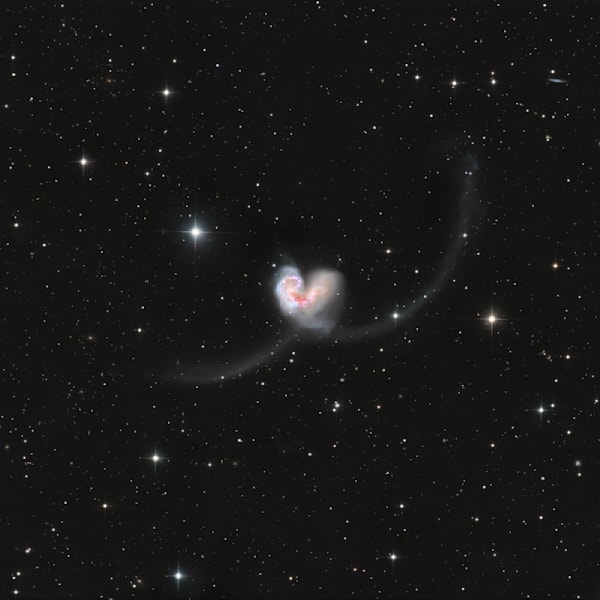 Antennae Galaxies (Ngc 4038 & Ngc 4039)   Galactic Valentine Photography Art | MaximAstroPhoto