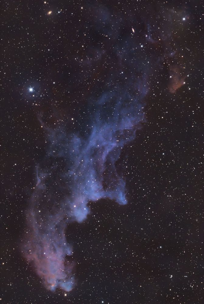 The Whitch Head Nebula (Ic 2118) Photography Art | MaximAstroPhoto