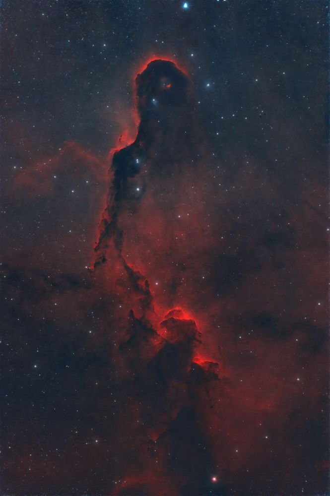 Elephant Trunk Nebula (Ic1396) In Foraxx Palette Photography Art | MaximAstroPhoto