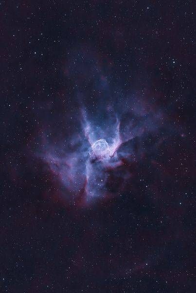 Thor's Helmet Nebula (Ngc2359) In Hoo Palette Photography Art | MaximAstroPhoto