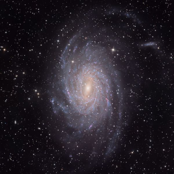 Pavo Galaxy (NGC6744 spiral galaxy in Virgo Cluster)